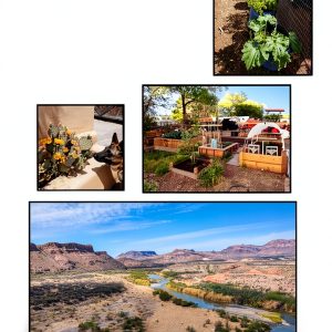 Gardening Wit and Wisdom: A Southwest Gardening Guide-0