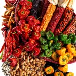 Southwest Garden Edible Cookbook by Periplus Editions Kindle eBook-0