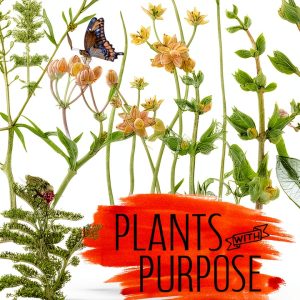 Southwest Gardening Guide by Texas A&M University Press-0