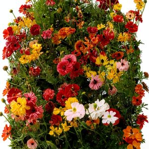 Southwest Gardening Guide by Taylor Trade Publishing-0